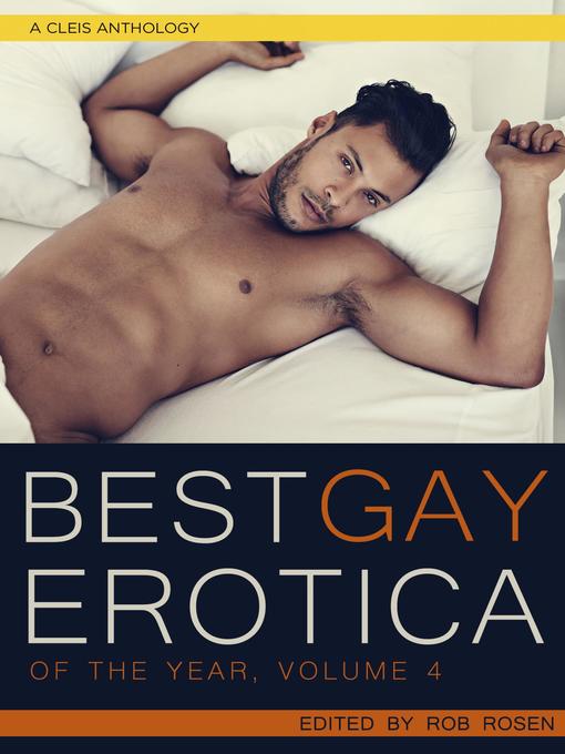 Cover image for Best Gay Erotica of the Year